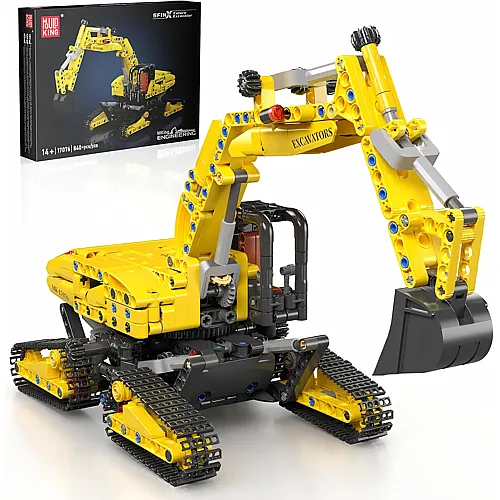 Raupen-Bagger 10176