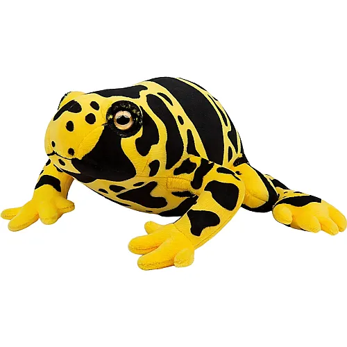 Tiny Heart Giftpfeilfrosch Gelb - 15 cm