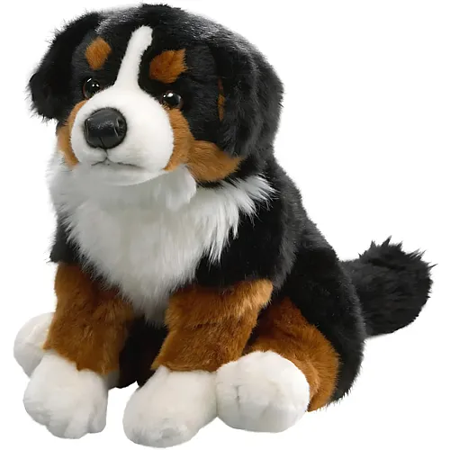 Berner Sennenhund sitzend - 30 cm