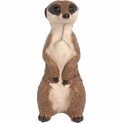 Erdmännchen