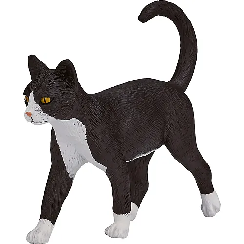 Mojo Farmland Katze