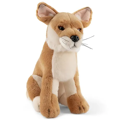Living Nature Dingo - 25 cm