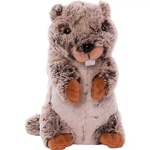 Inware Marmi - 16 cm