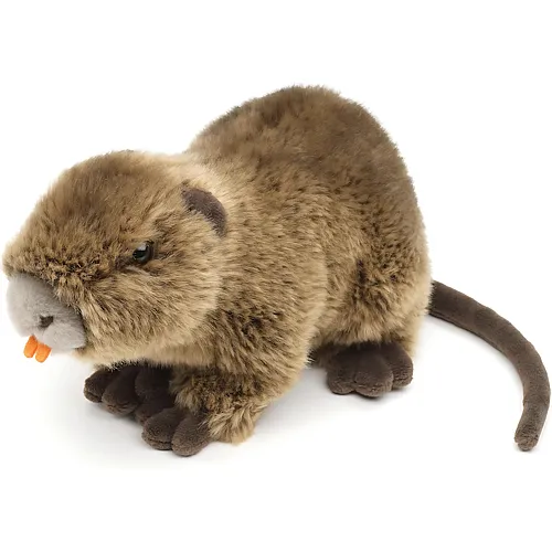 Nutria - 21 cm