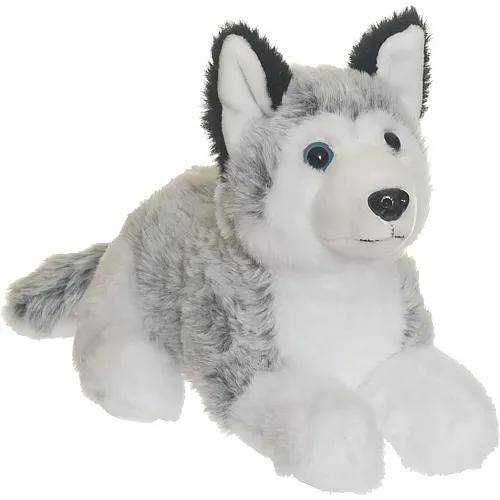 Husky - 25 cm