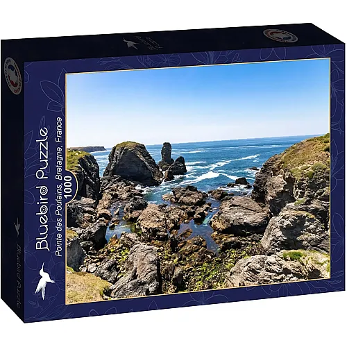 Bluebird Puzzle Pointe des Poulains, Bretagne, France - 1000 Teile