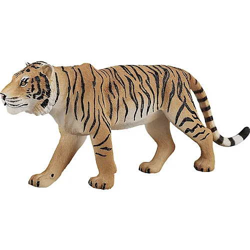Mojo Bengalischer Tiger