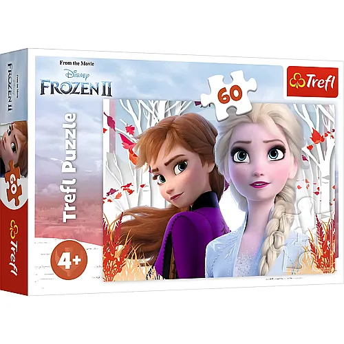 Disney Frozen 2 60Teile