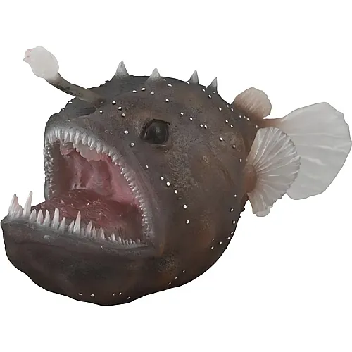 Seeteufel - Anglerfish