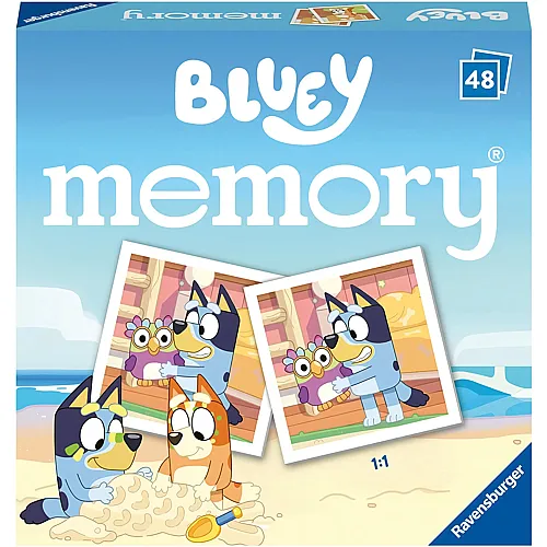 Bluey Memory