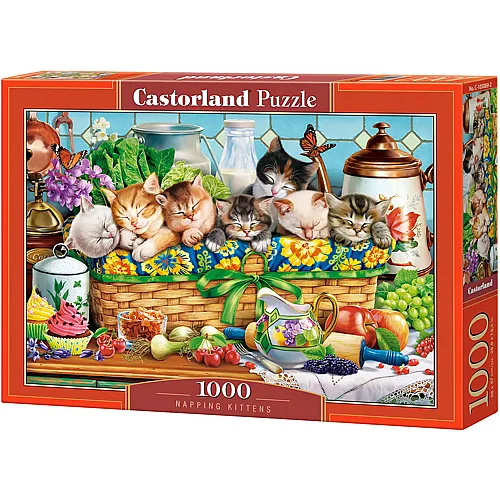 Nickerchen machende K�tzchen 1000Teile