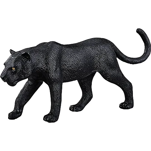 Mojo Schwarzer Panther