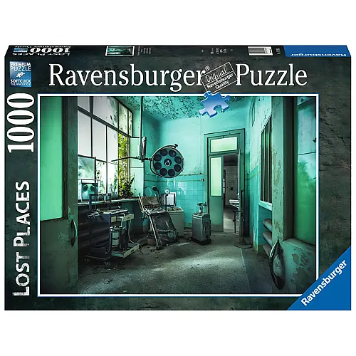 Ravensburger Puzzle Lost Places The Madhouse (1000Teile)