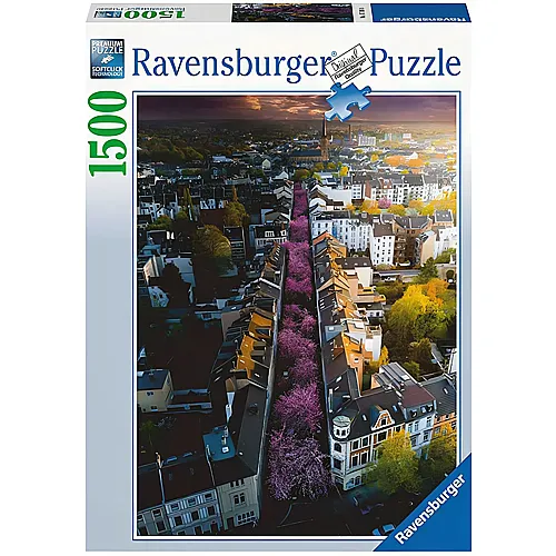 Ravensburger Puzzle Blhendes Bonn, Deutschland (1500Teile)