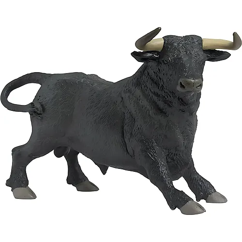 Andalusischer Stier