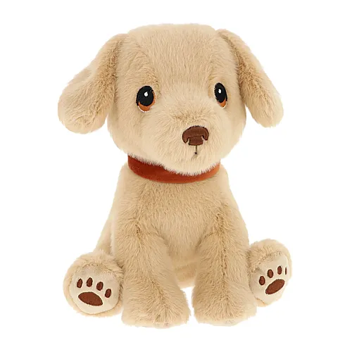 Labrador 23cm