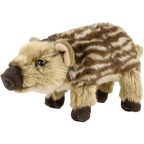 Wild boar piglet - 25 cm