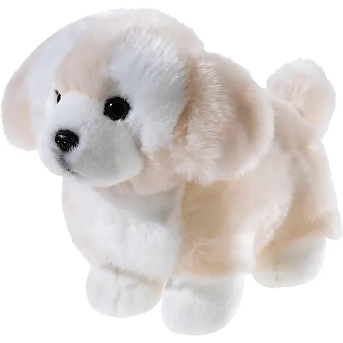 Heunec Misanimo Terrier Welpe - 28 cm
