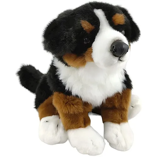 Bernese Mountain Dog - 25 cm