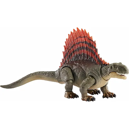 Dimetrodon