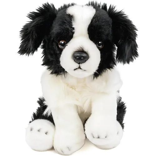 Teddys Rothenburg Border Collie sitzend - 30 cm
