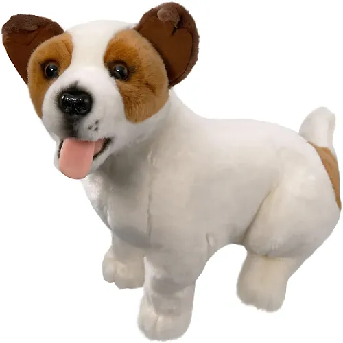 Carl Dick Jack Russel sitzend - 40 cm