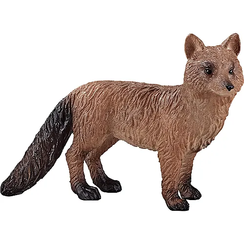 Mojo Wildlife Rotfuchs