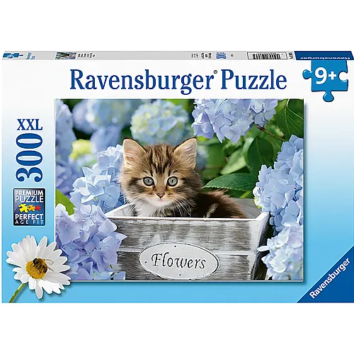 Ravensburger Puzzle Kleine Katze (300XXL)