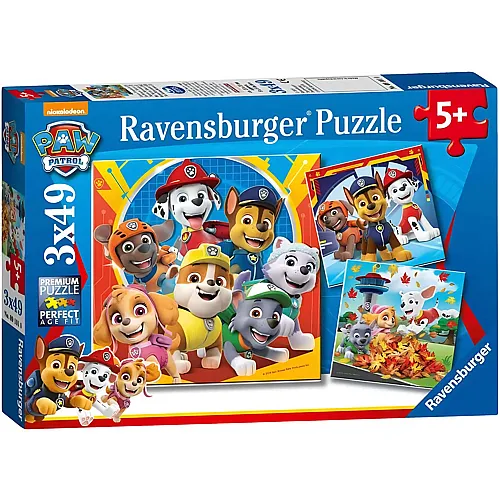 3in1 Paw Patrol 49Teile