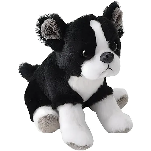 Boston Terrier 12cm