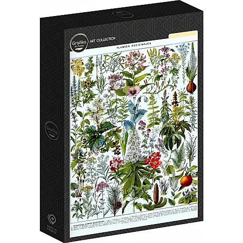Grafika Puzzle Puzzle 1000 Teile Illustration aus Larousse: Heilpflanzen