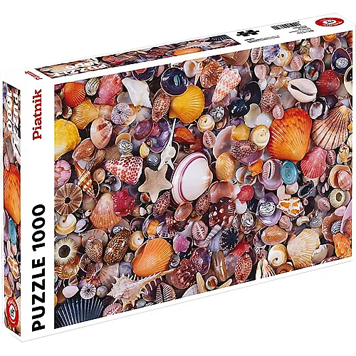 Muscheln 1000Teile