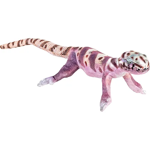 Westlicher Geb�ndeter Gecko 30cm