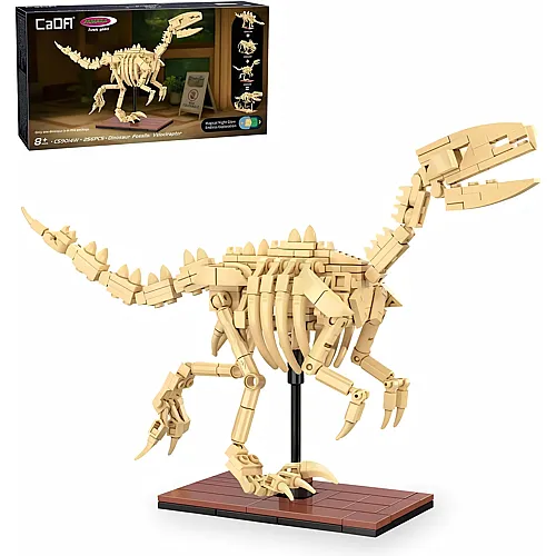 CaDa Dinosaurier Fossil Velociraptor 1:9