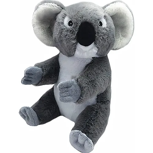 Ecokins Koala - 20 cm