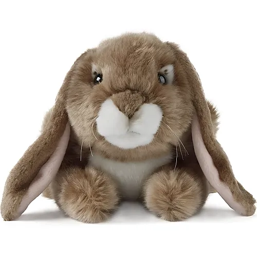 Schlappohr-Kaninchen Dunkelbraun - 24 cm