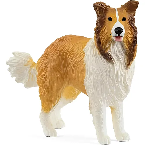 Schleich Collie