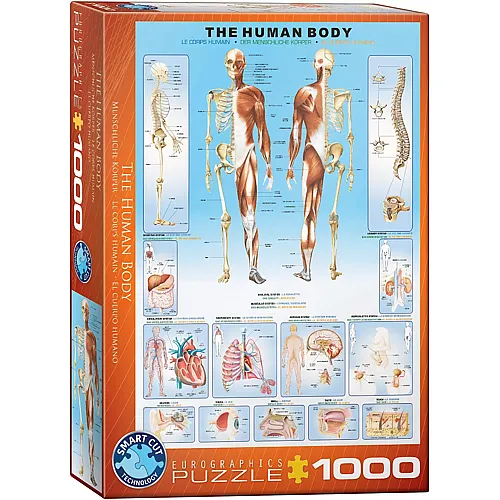 Eurographics Puzzle The Human Body - 1000 Teile