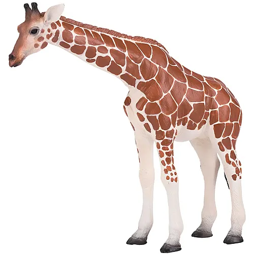 Giraffe Weibchen