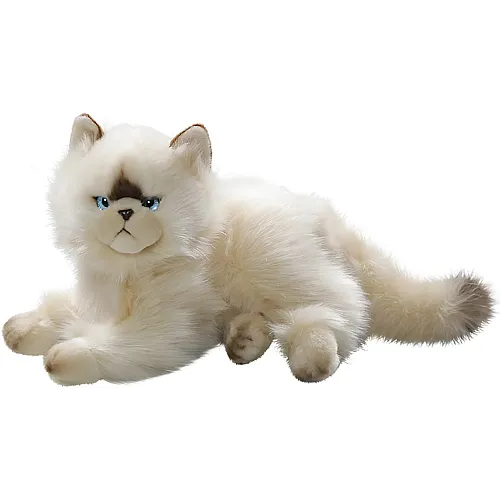 Perserkatze Chocolate Point 30cm