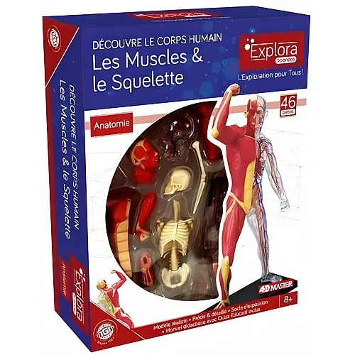 Mgm Explora Kit Anatomie DU Squelette ET Muscles 46pcs (FR)