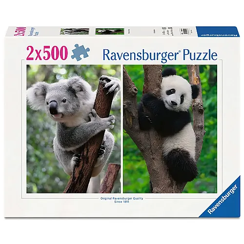Ravensburger Puzzle 2in1 Koala und Panda (500Teile)