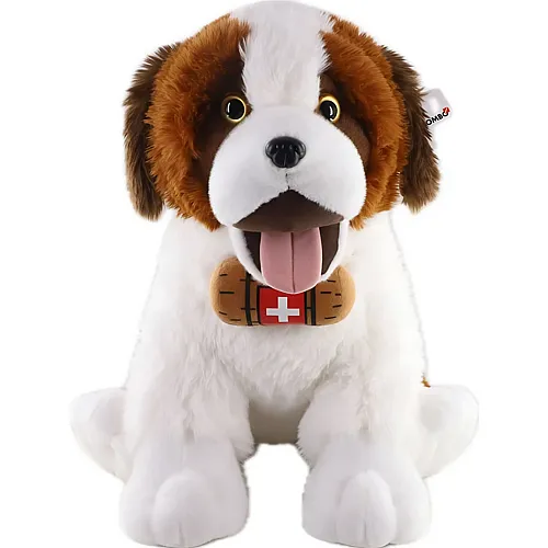 Bernhardiner Hund