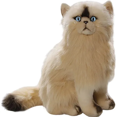 Carl Dick Perserkatze Beige - 35 cm