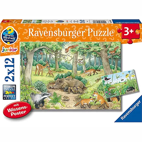 Ravensburger Puzzle Wieso? Weshalb? Warum? Tiere im Wald und auf der Wiese (2x12)