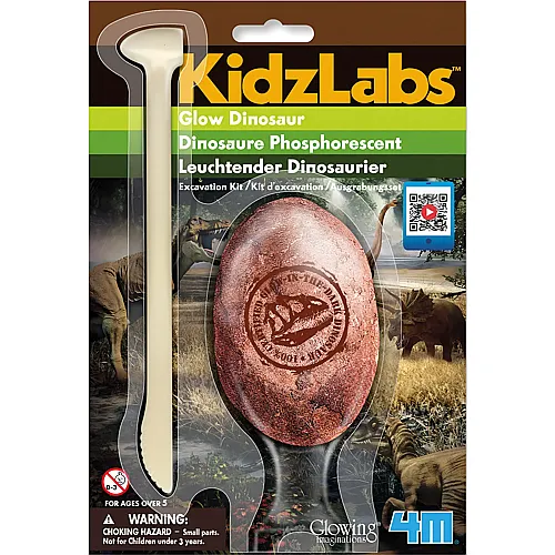 4M Leuchtender Dinosaurier