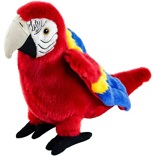 Papagei Rot - 24 cm