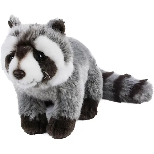 Raccoon - 33 cm