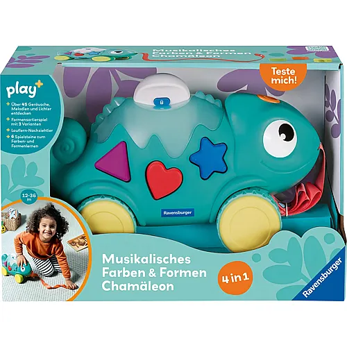Musikalisches Formen und Farben Cham�leon - 12.5 x 33 x 19 cm