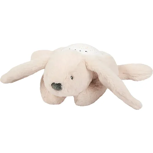 Nattou LED-Nachtlicht Koala-B�r, Sternhimmel-Projektor Beige (26cm)